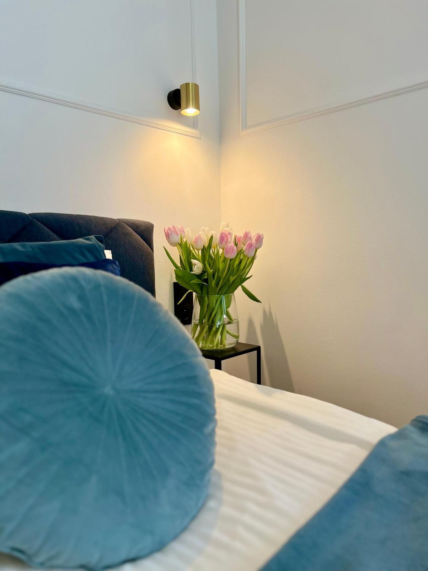 Krakow Old Town Apartment Jacuzzi - Wymeldowanie Do 13 エクステリア 写真
