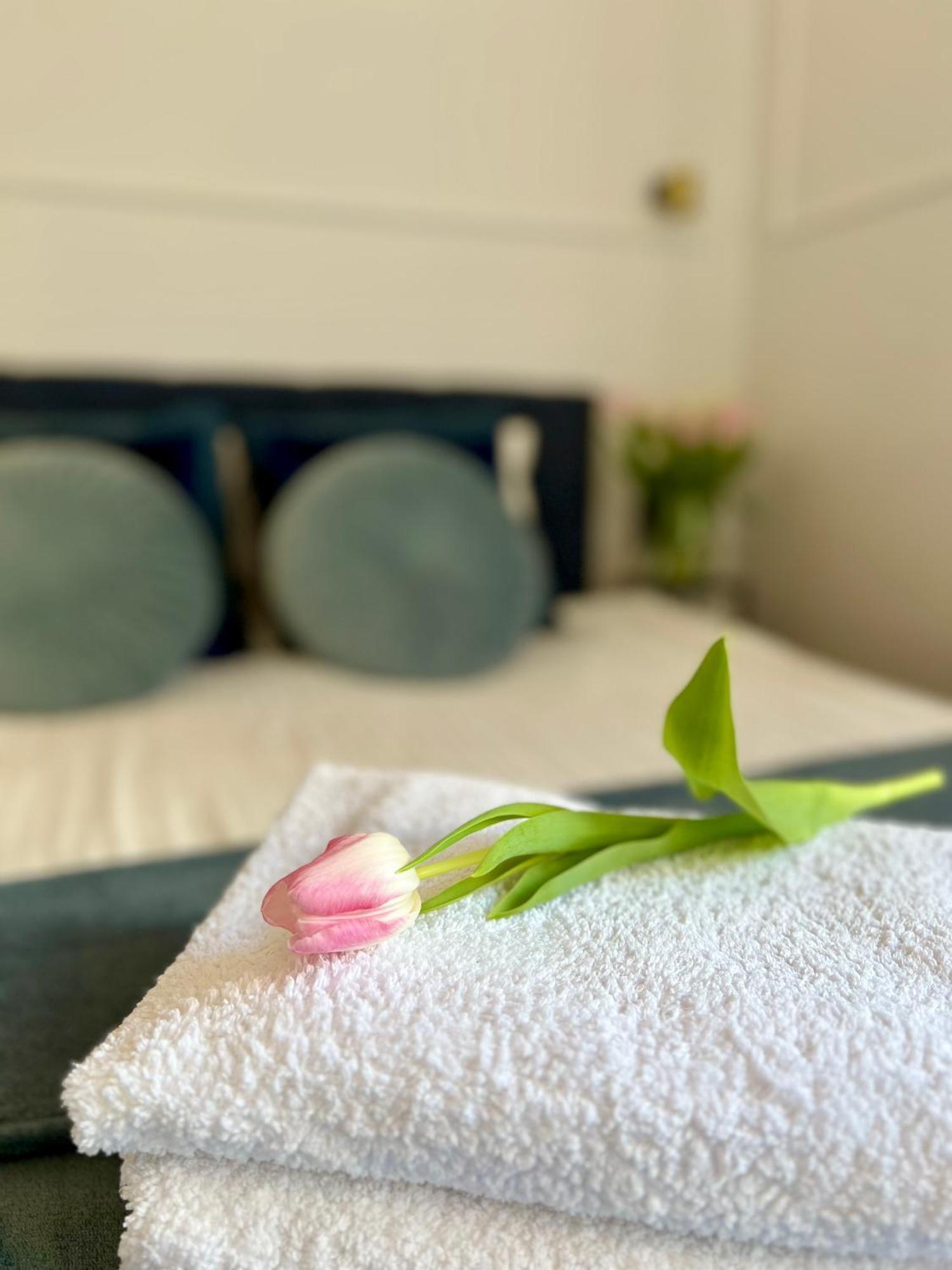 Krakow Old Town Apartment Jacuzzi - Wymeldowanie Do 13 エクステリア 写真